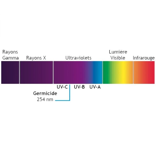 https://www.bio-uv.com/app/uploads/2021/08/spectre-lumiere-ultraviolette-640x640.jpg